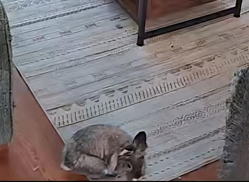 An image captured on the camera!