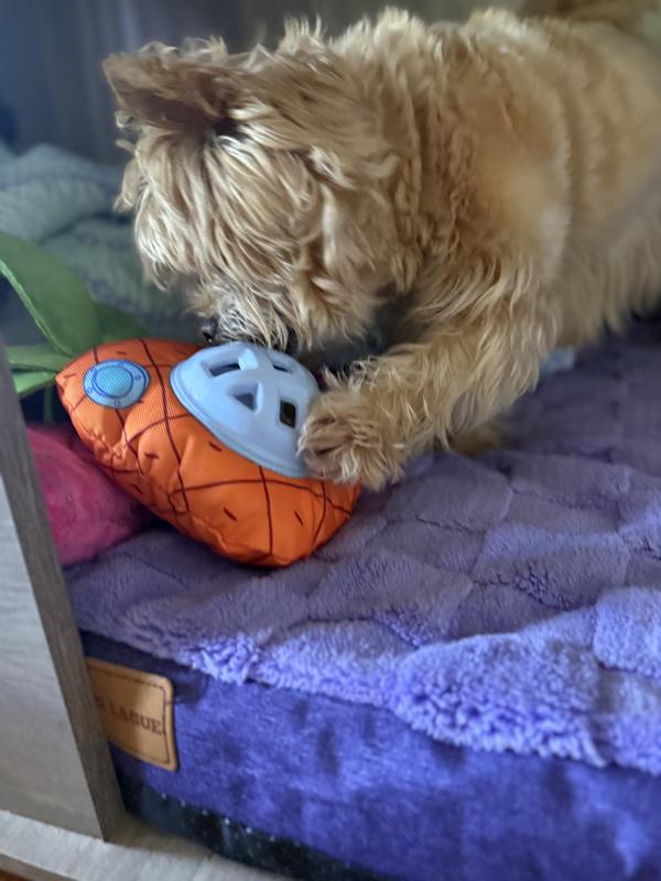 She was so excited I couldn't get her to stay still long enough for picture.