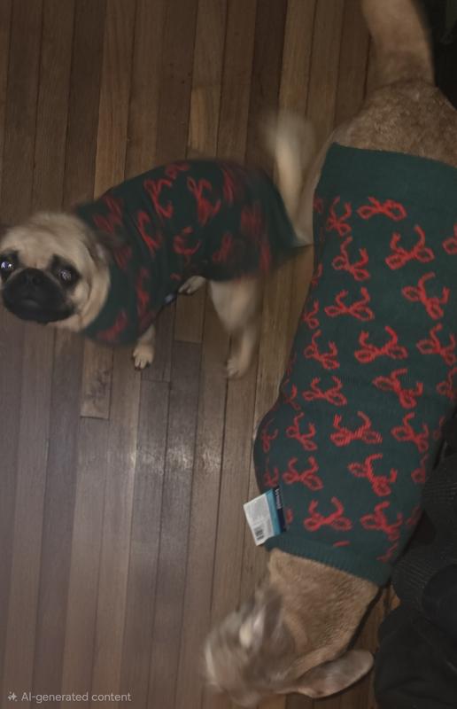 Trying on their holiday sweaters.