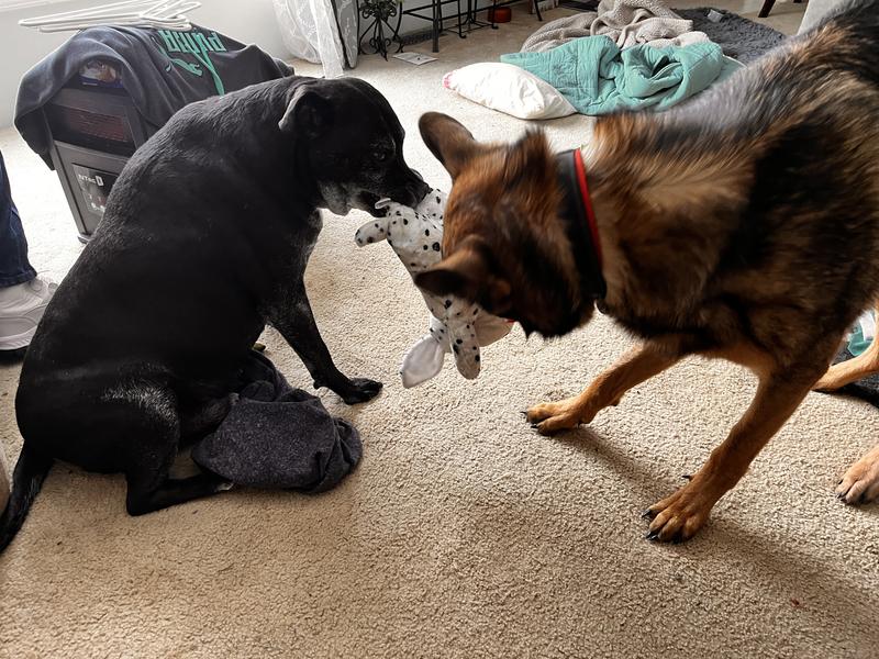 Look, I’m playing again!!!