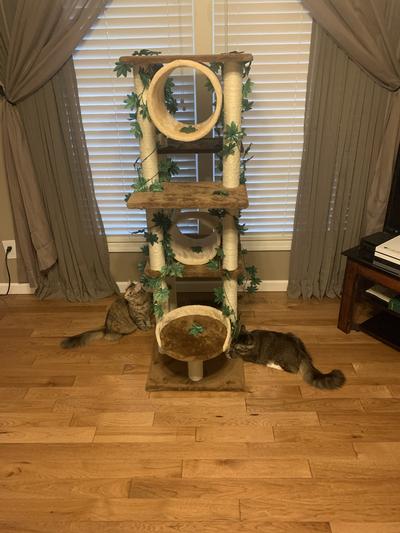 GO PET CLUB 58-in Forest with Leaves Cat Tree, Beige/ Brown - Chewy.com