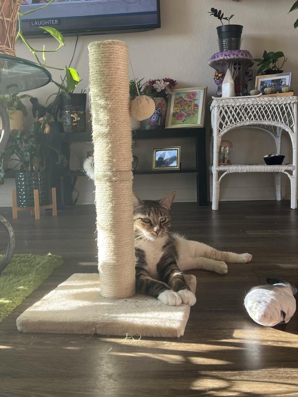 FRISCO 21in Sisal Cat Scratching Post with Toy, Gray, 1 count