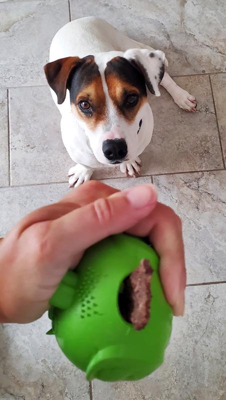Treats fit my dog toy dispenser