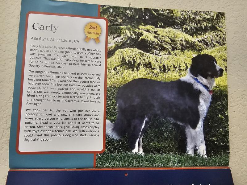 Carly-Mendocino Coast's Miss January