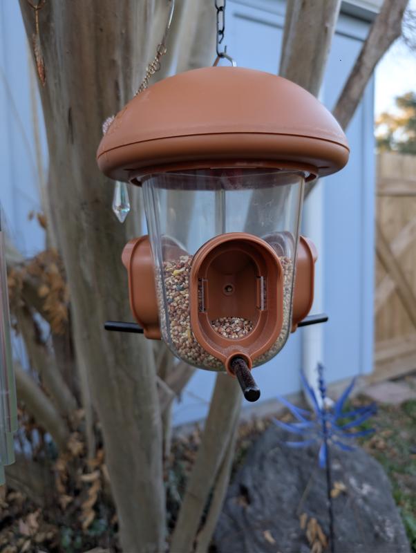 The feeder is attractive.