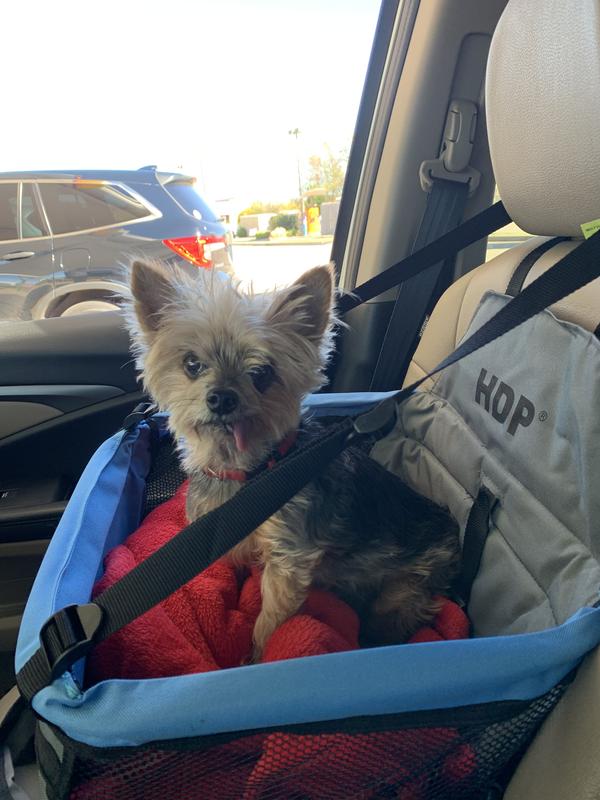 HDP Deluxe Lookout Dog, Cat Small Animal Booster Car Seat,