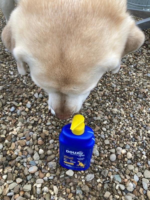 Investigating the new smell!