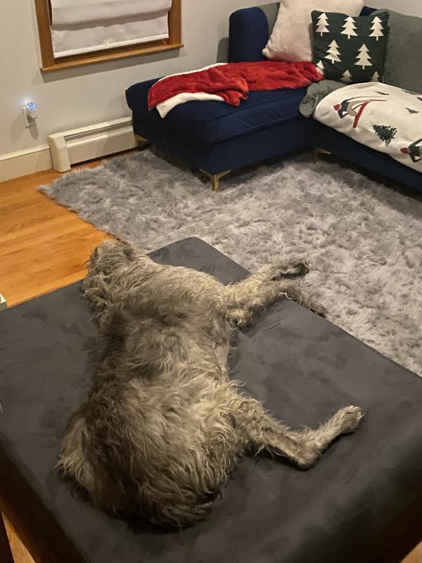 BIG BARKER 7" Headrest Orthopedic Pillow Dog Bed with Removable Cover