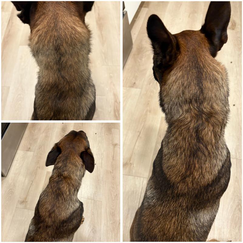 Top left picture is his coat before