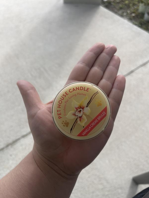 Smaller than my palm