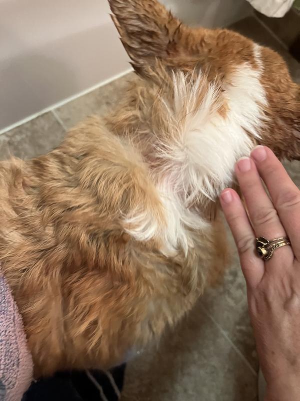 Hard to get a good photo because she squirms around a lot…