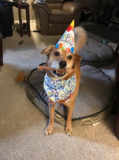 Izzy's 10th birthday