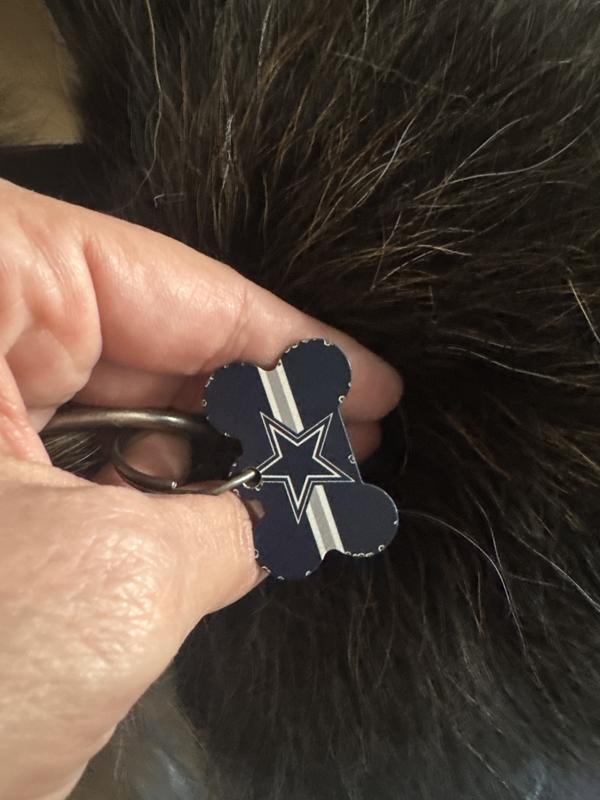 Chipped dog tag