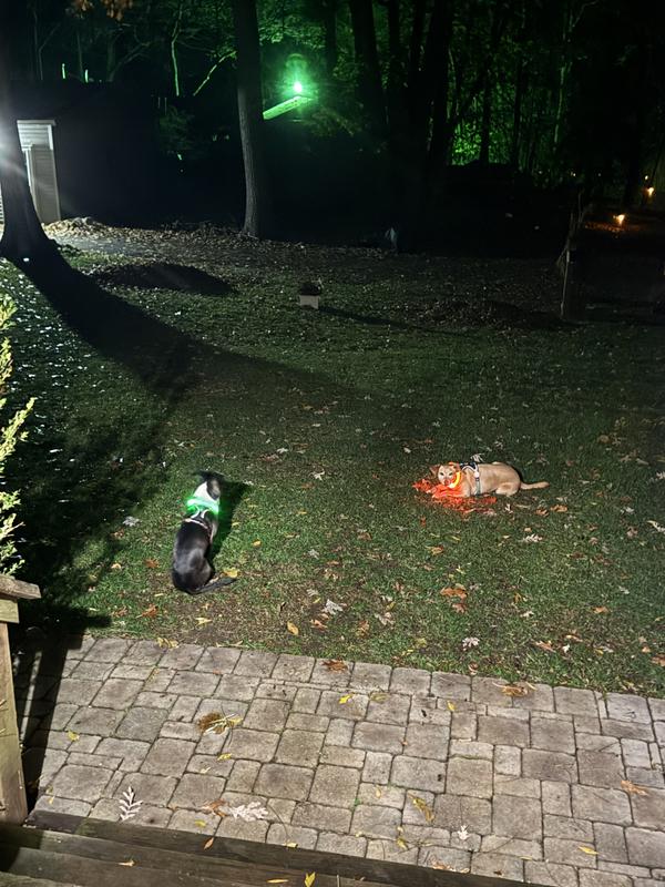 Brooke and Luna waiting for daddy