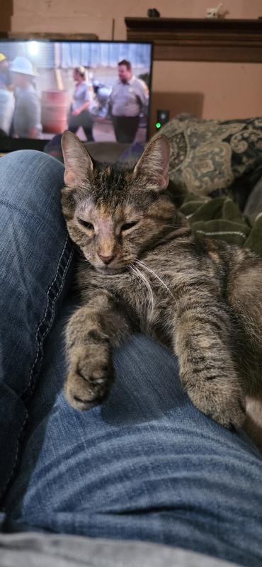 Oct. 28th, no whiskers on her right