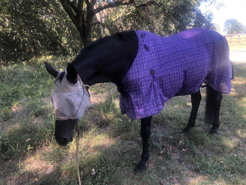 TuffRider Fly By Power Mesh Horse Fly Sheet