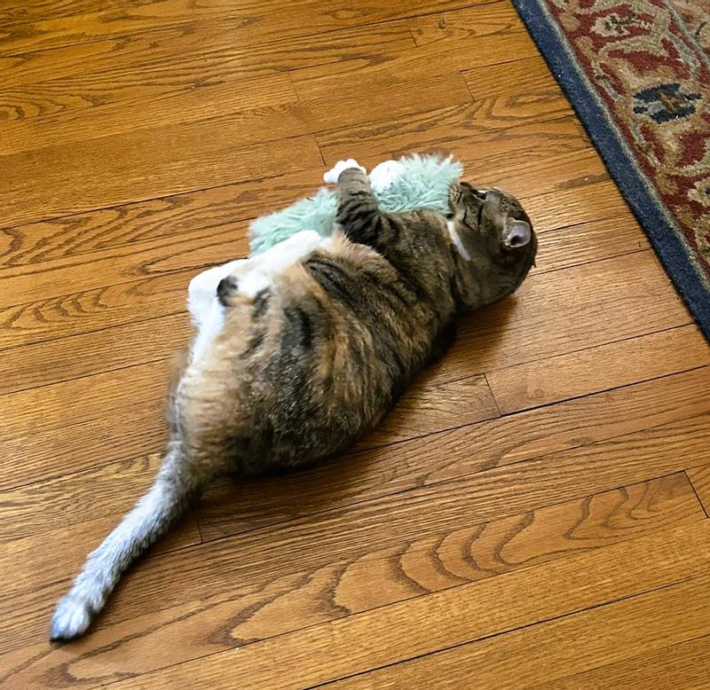 I will hug you long time! 🤣