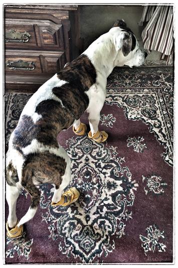 Poor girl...looks pathetic