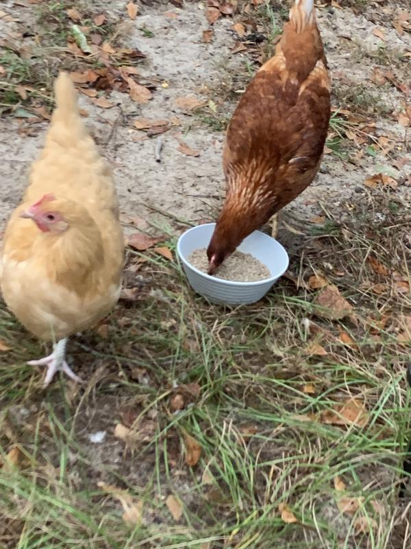 “Give me more””!”