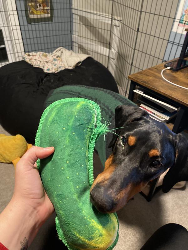 Artemus the destroyer