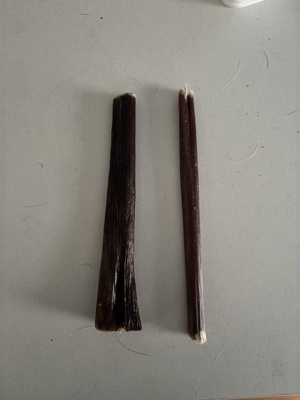 Showing the size variation that exists within the pack.