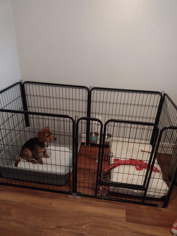 Large dog litter store tray