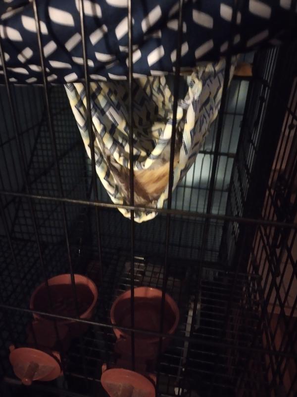 She takes quick naps in it