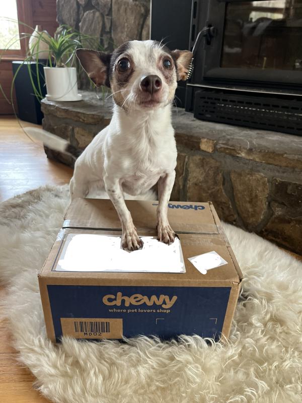 So excited about her Chewy box