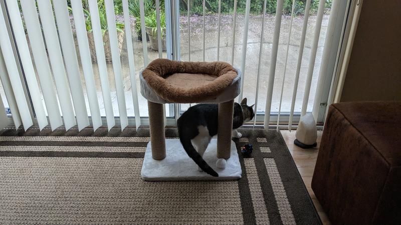Teeya claimed this one as her own!