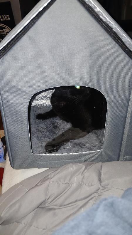 Loves to be inside now as it's meant to be