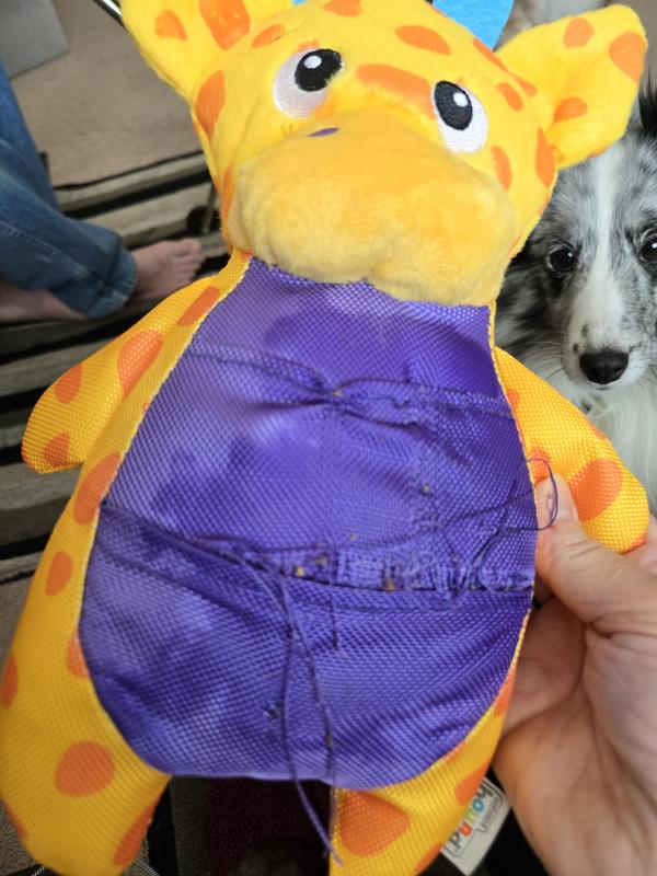 Ripped and ruined in 1 minute