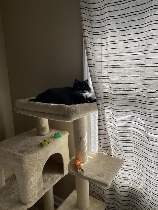 Frisco 48 inch cat tree 2025