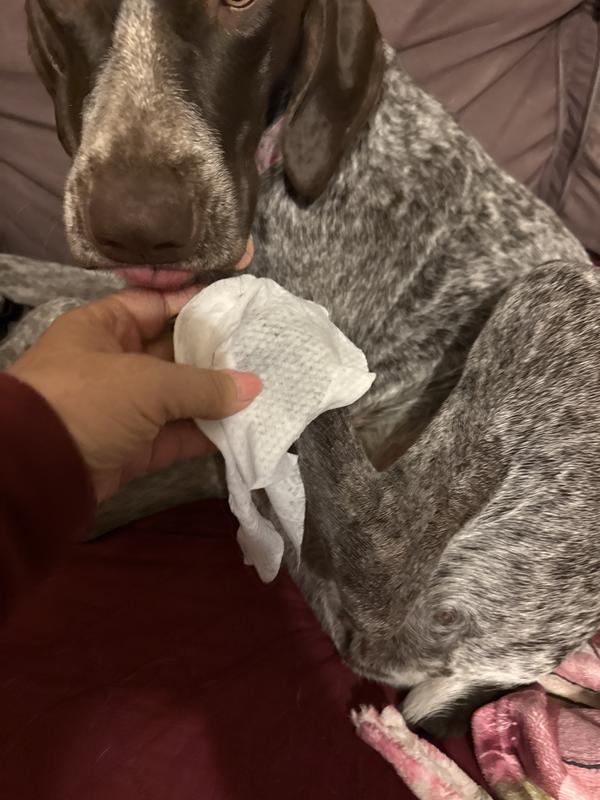 Wiping Feet