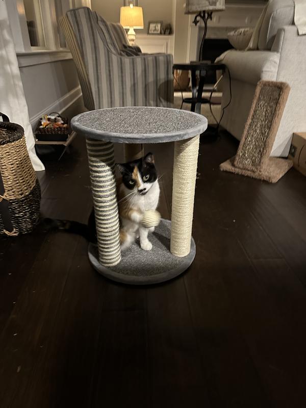 Pet Adobe 19.25-in Polyester Cat Scratching Post with Toys