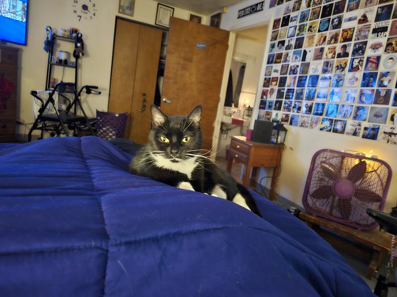 MEET OREO !!!!