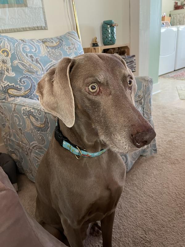 Looking good, Madison!