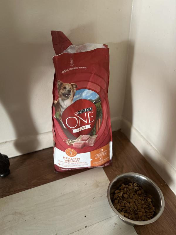 PURINA ONE Plus Adult High Protein Healthy Weight Formula Dry Dog