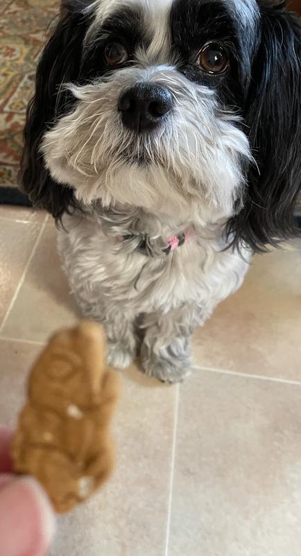 I’ll do anything for a Blue Dog Bakery mini crunch