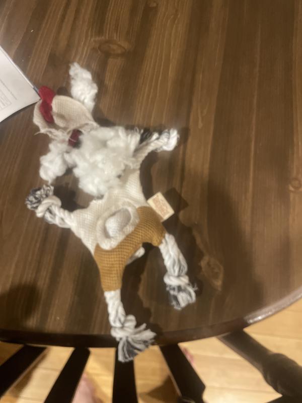 The chicken lasted three days