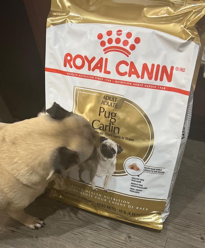 Royal canin pug food reviews sale