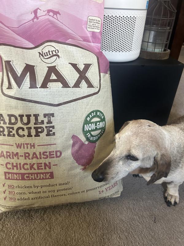 NUTRO Max Mini Chunks Adult Farm Raised Chicken Recipe Natural Dry Dog Food 4 lb bag Chewy