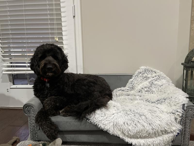 Plenty of room to cuddle up or relax