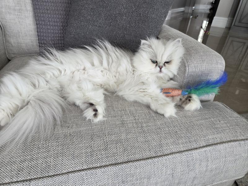It's mine!