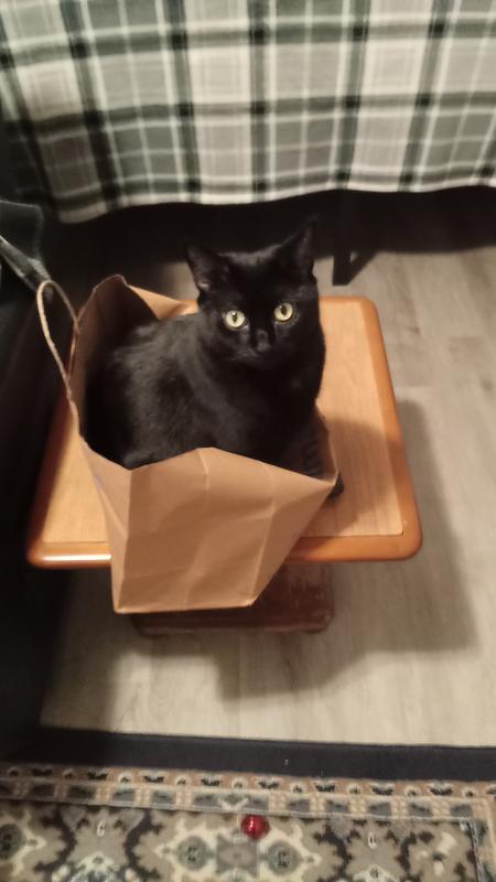 Had my crunchers and now it's play time!!