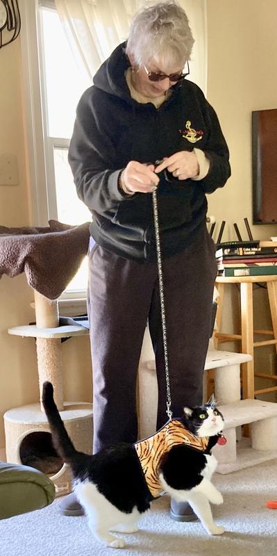 Theo showing off his Kitty Holster