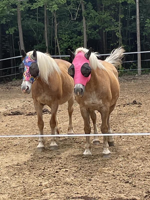 The girls
