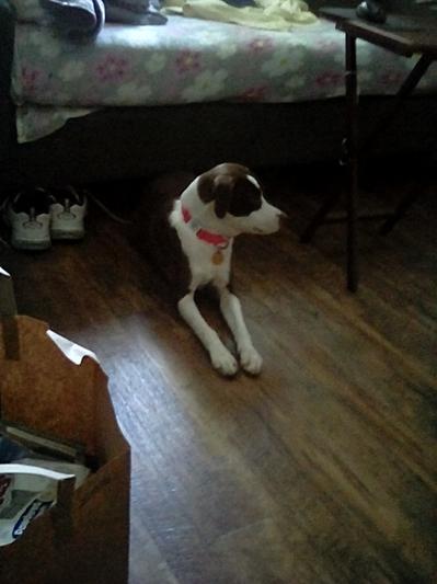 Daizy my darling.