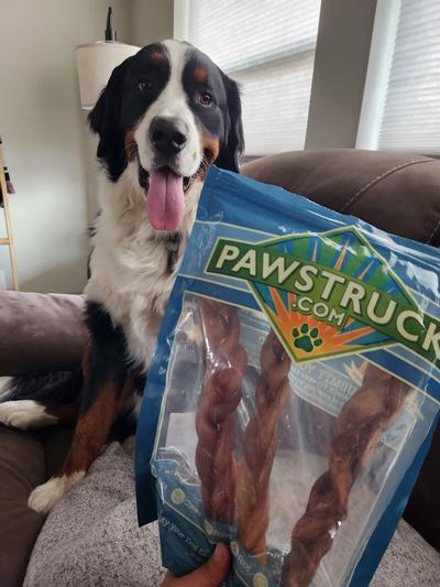 Excited for his new treat