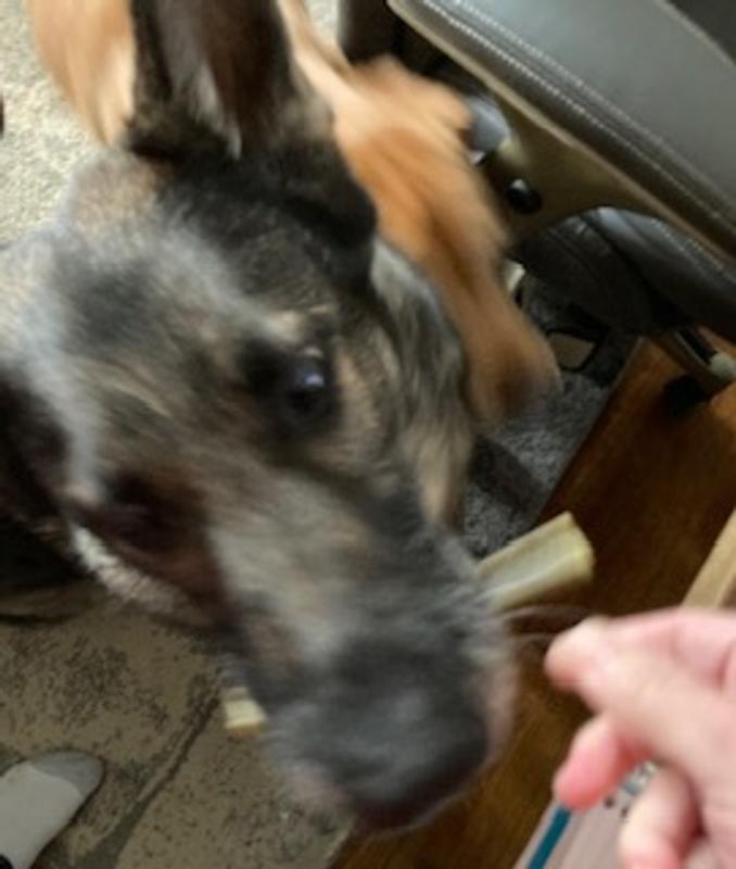 Passes the taste test by my very picky German Shepherd!