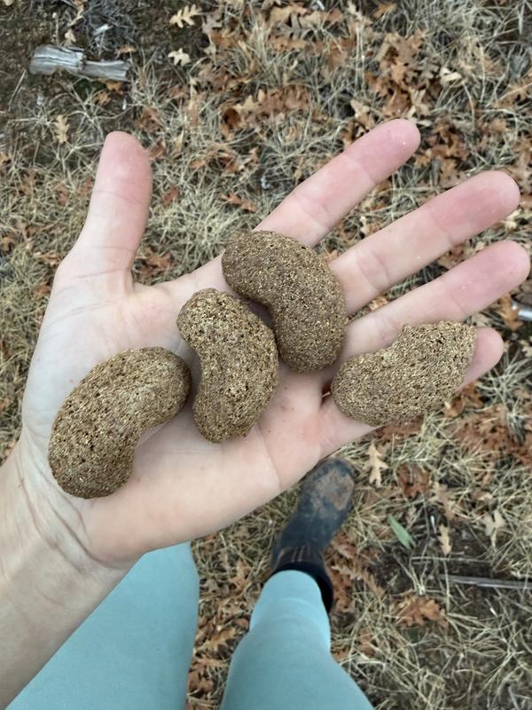 Fresh few! Between the bag tussle and strong good smell, the horses already know I coming!